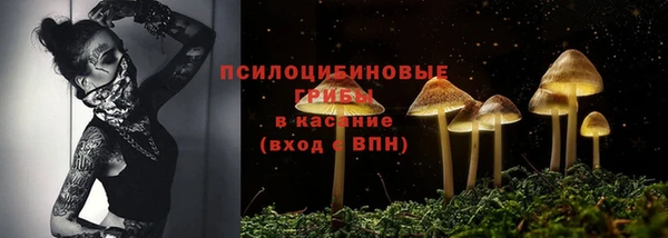 молекула духа Каменногорск