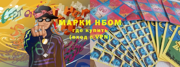 молекула духа Каменногорск