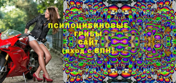 PSILOCYBIN Каменск-Шахтинский