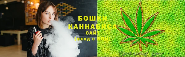 молекула духа Каменногорск