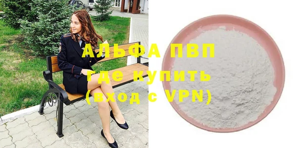молекула духа Каменногорск