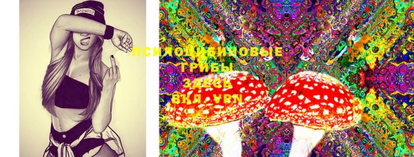 PSILOCYBIN Каменск-Шахтинский