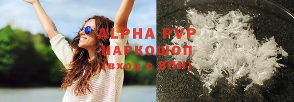 молекула духа Каменногорск