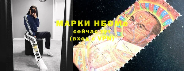 молекула духа Каменногорск